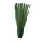 Ivory and Iris; 39" Dried Plant Sticks Natural Foliage With Slender Stems; Category:Dried Floral; Image:2